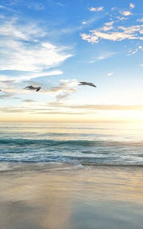 De beste strendene strendene på Maremmakysten i Toscana