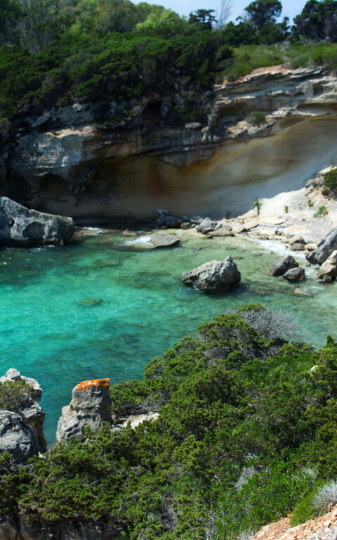 Karibien i Toscana: Øya Pianosa