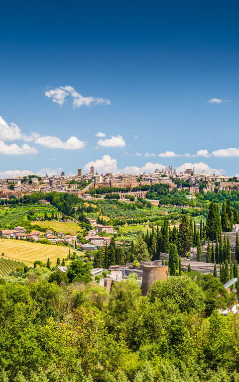 De typiske smakene og rettene som må prøves!