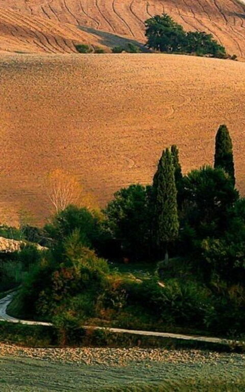 Når naturen opptrer: Theatre of Silence