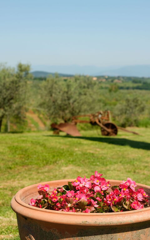 Pozzo Dei Desideri: Eksteriør, Hage, Utendørs, Visningar