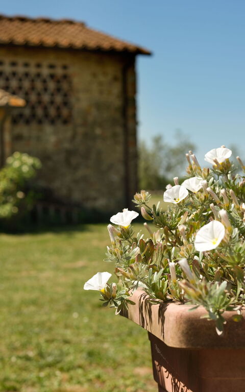 Pozzo Dei Desideri: Eksteriør, Hage, Utendørs