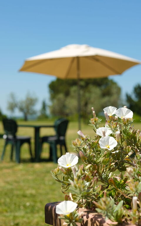 Pozzo Dei Desideri: Eksteriør, Hage, Utendørs