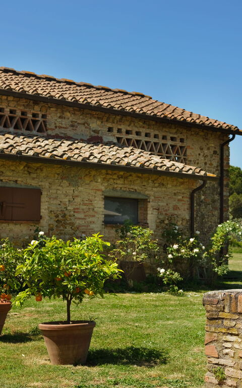 Pozzo Dei Desideri: Eksteriør, Hage, Utendørs