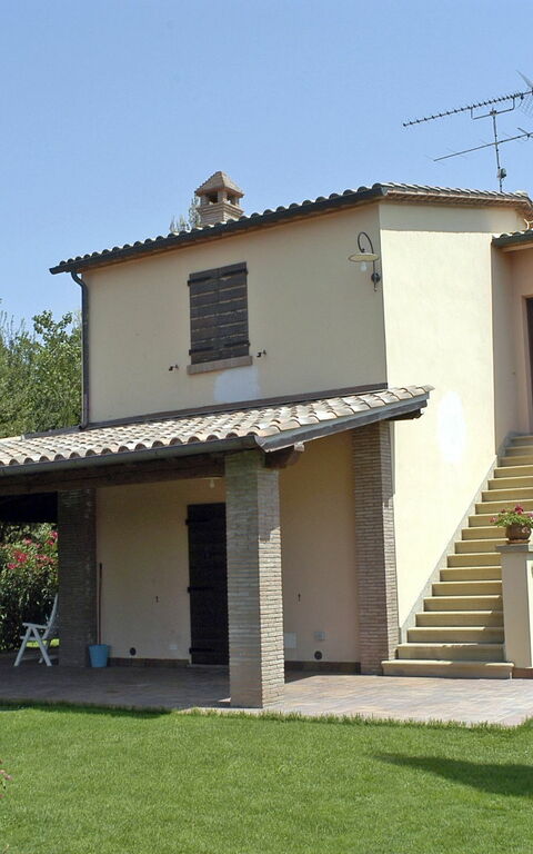 Poderino: Eksteriør, Hage, Utendørs