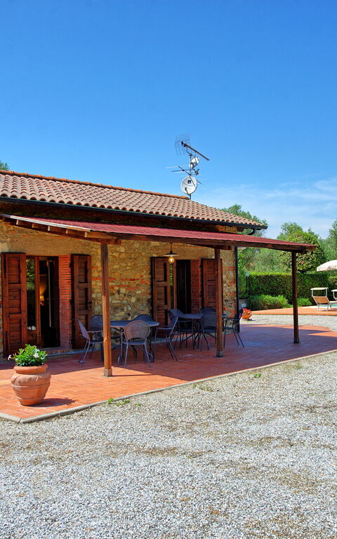 Cuccardino: Eksteriør