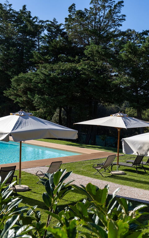 Villa Simone: basseng, Hage, Utendørs