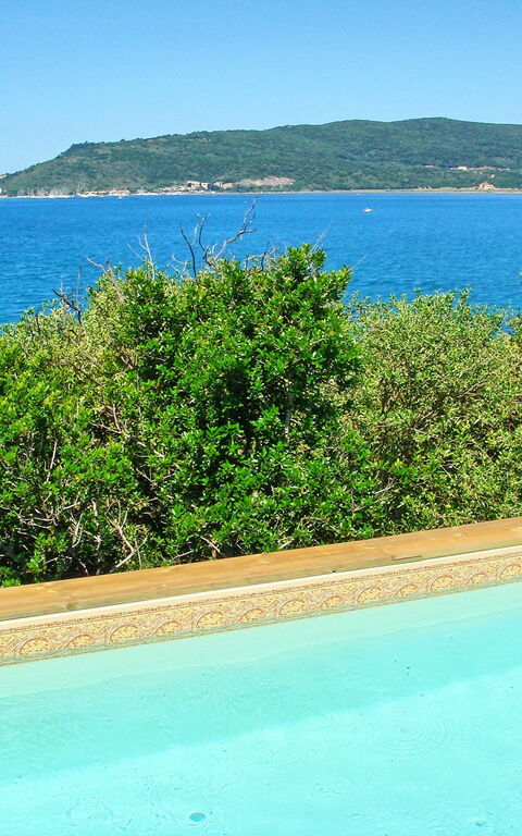 Presidio: basseng, Hage