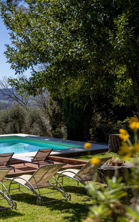 Villa Orchidea: basseng, Utendørs