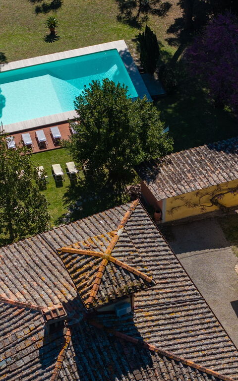 Villa Orchidea: basseng, Utendørs