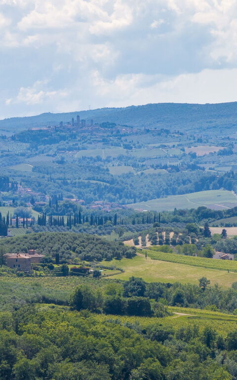 Villa Orchidea: Visningar