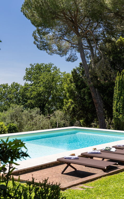 Villa Orchidea: basseng, Eksteriør, Hage, Utendørs