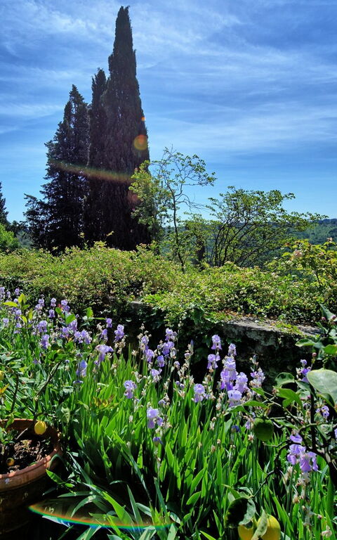 Montegufoni: Hage, Visningar