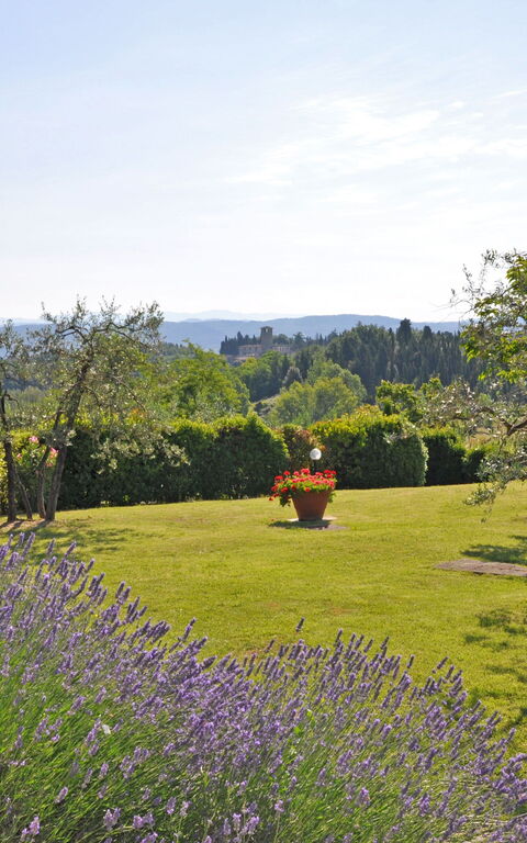 I Glicini: Visningar