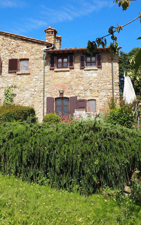 Cornocchio: Eksteriør, Hage