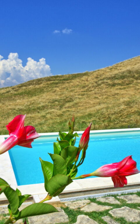 Castelmuzio: basseng