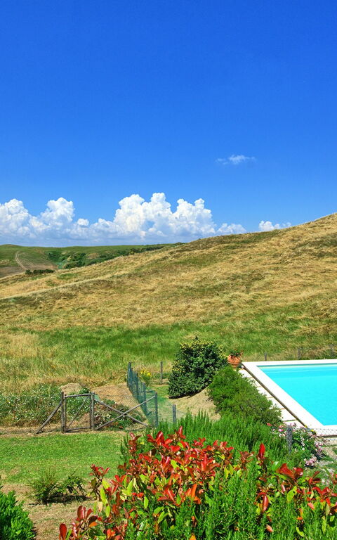 Castelmuzio: Utendørs, Visningar