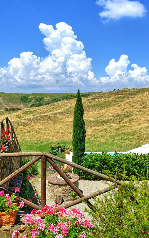 Castelmuzio: Visningar