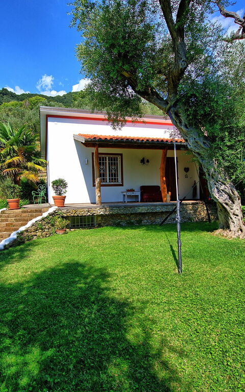 Villa Oliveta: Hage, Utendørs