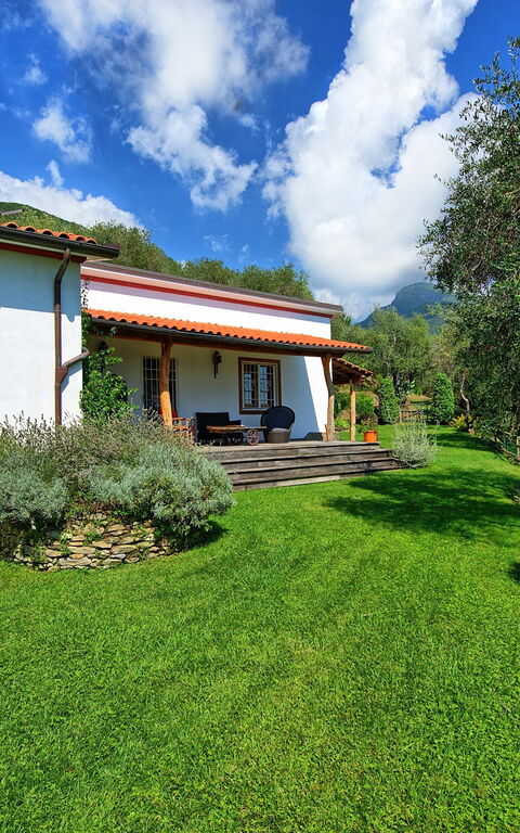 Villa Oliveta: Hage, Utendørs