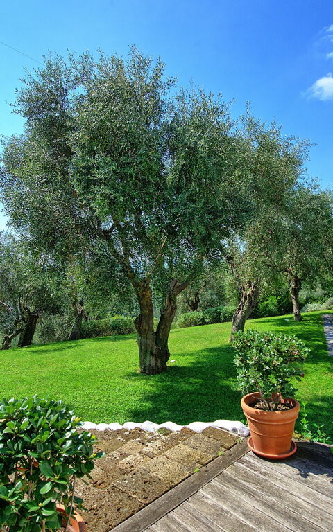 Villa Oliveta: basseng, Visningar