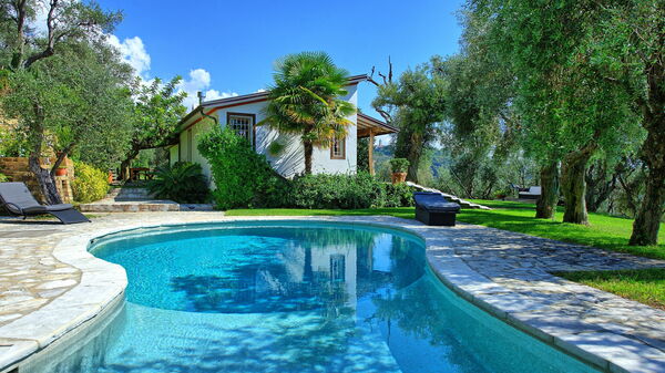 Villa Oliveta: basseng, Sommer