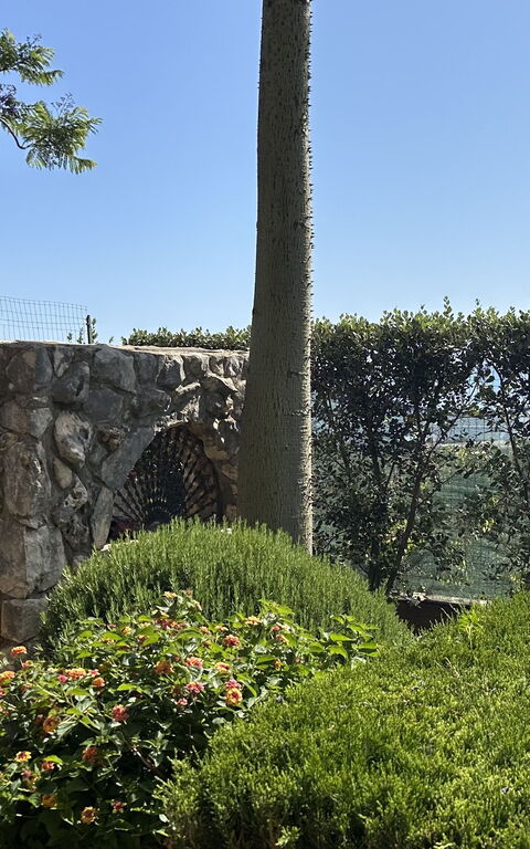 Castellammare: Eksteriør, Hage