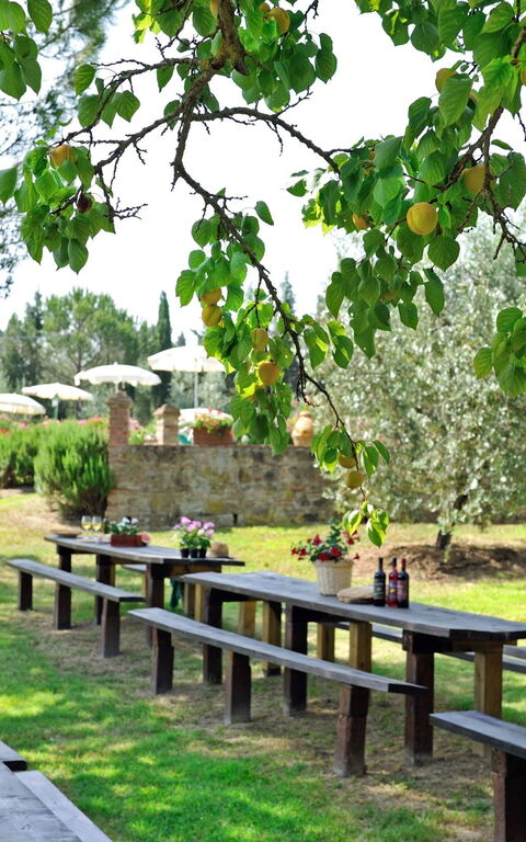 Montelopio: Hage, Utendørs