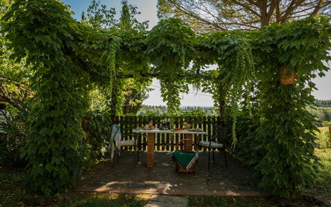 Feriebolig Montelopio 8: Hage, Utendørs