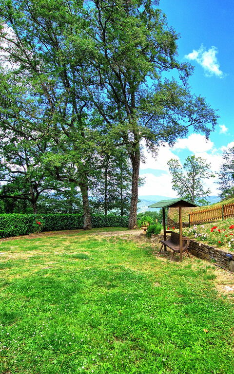 Villa Margherita: Hage