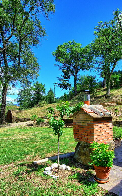 Villa Margherita: Hage