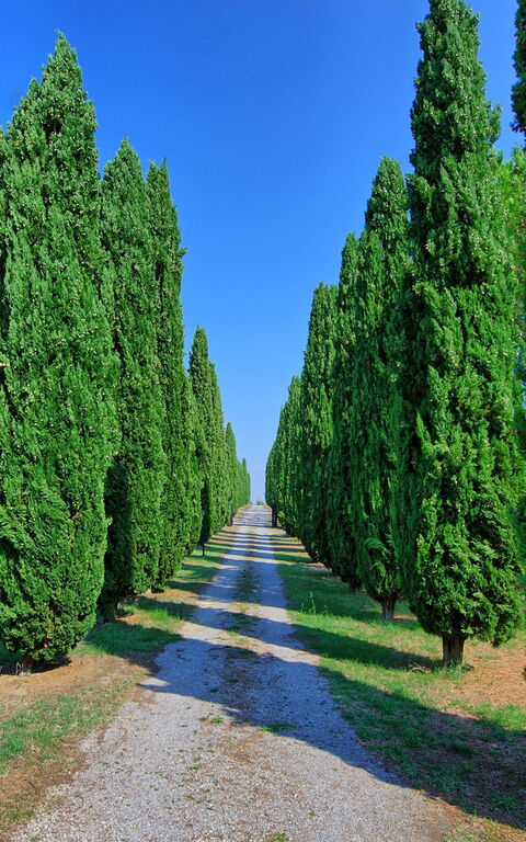 Casale Giulio: Visningar