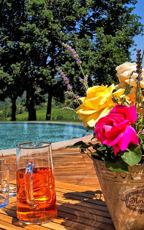 Villa Petrognano: basseng, Utendørs, Visningar