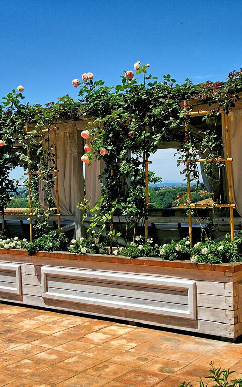 Villa Petrognano: basseng, Utendørs, Visningar