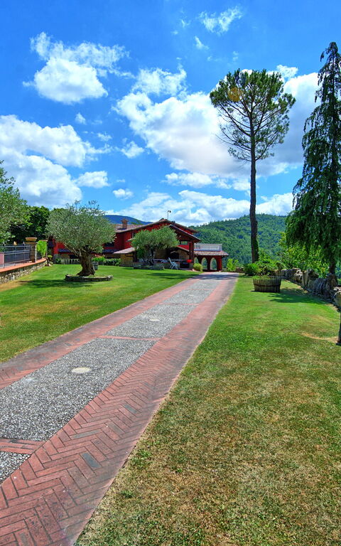 Villa Contessa: Hage