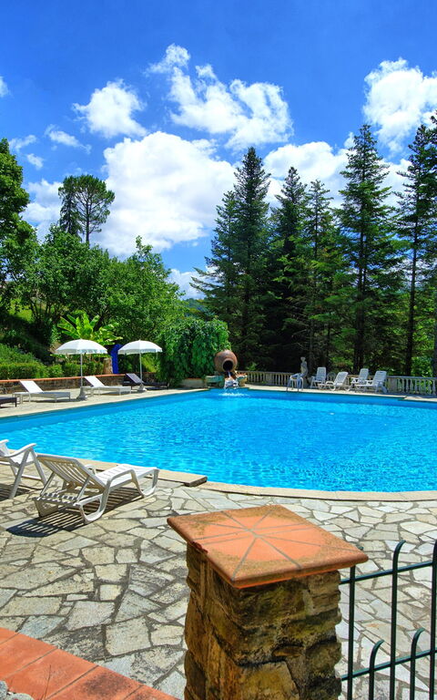 Villa Contessa: basseng