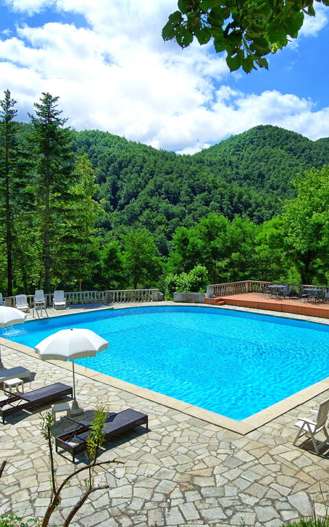 Villa Contessa: basseng, Hage