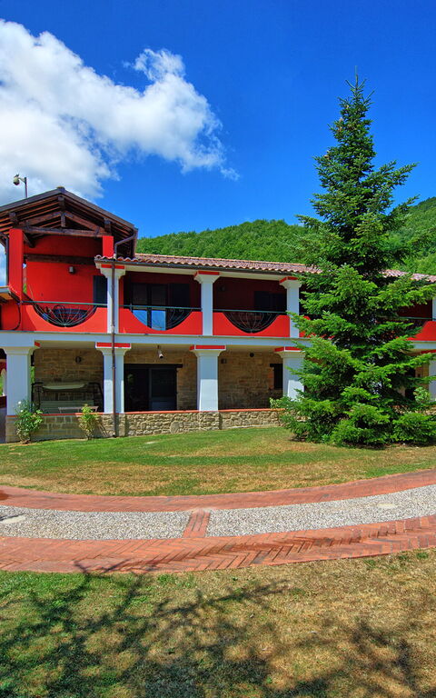 Villa Contessa: Eksteriør, Hage