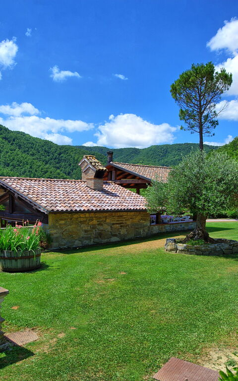 Villa Contessa: Hage