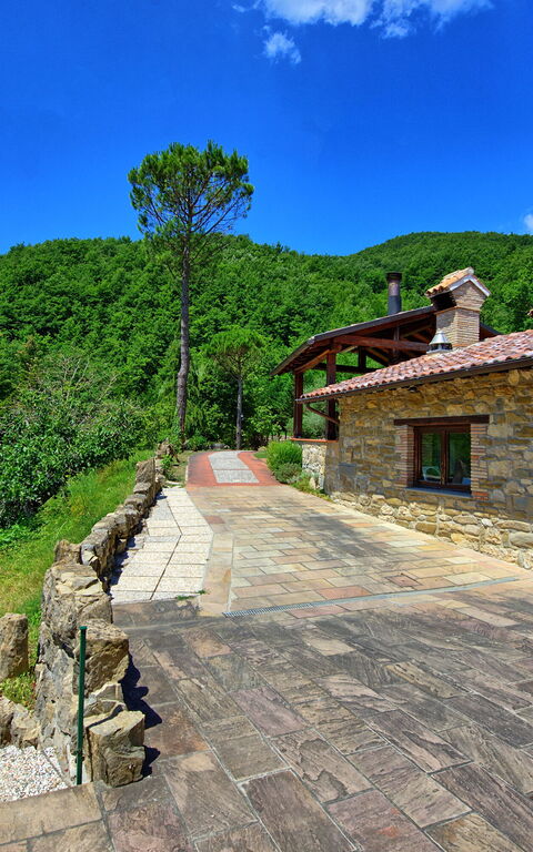 Villa Contessa: Eksteriør, Hage