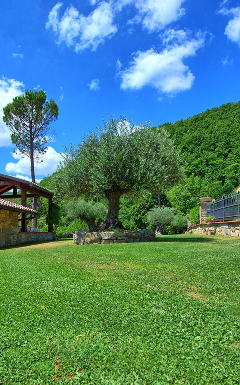 Villa Contessa: Hage
