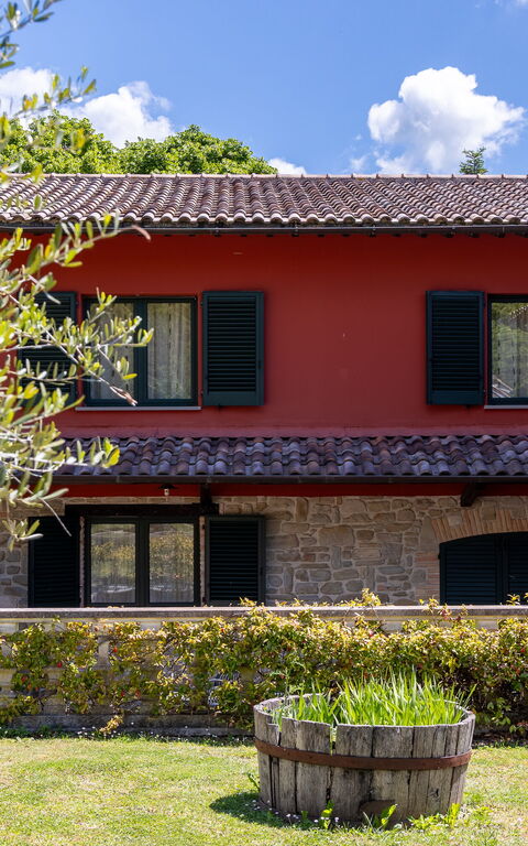 Villa Contessa: Eksteriør, Hage, Utendørs
