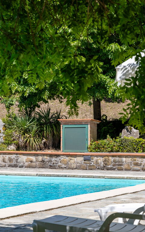 Villa Contessa: basseng, Hage, Utendørs