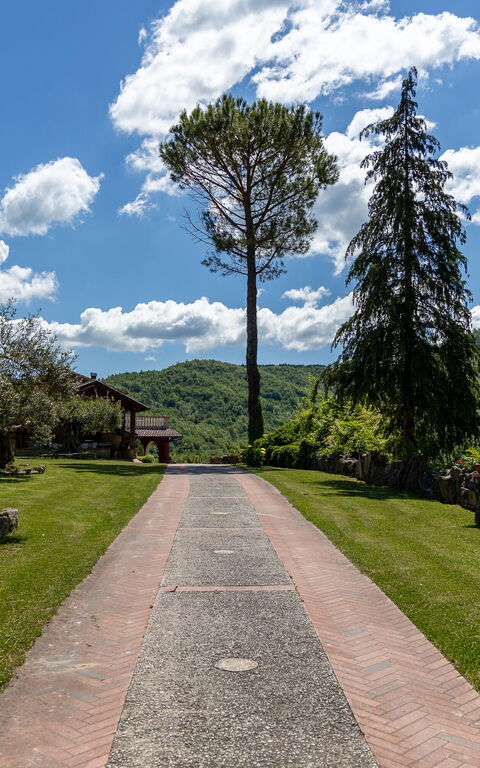 Villa Contessa: Hage, Utendørs, Visningar