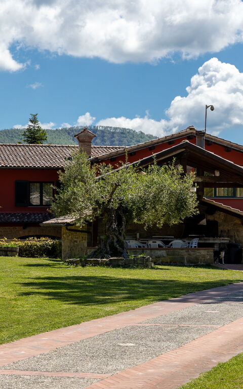 Villa Contessa: Eksteriør, Hage, Utendørs