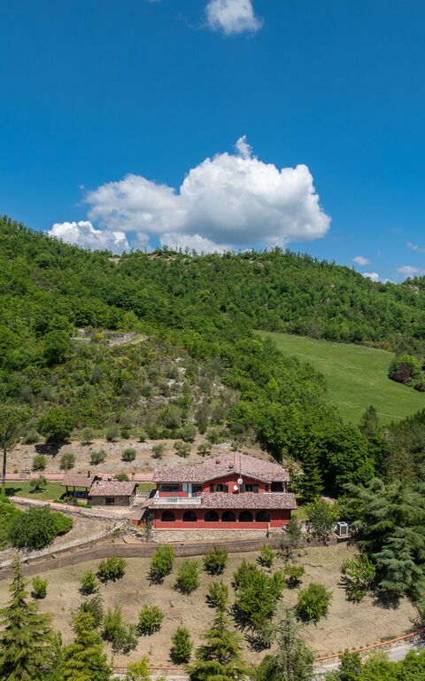 Villa Contessa: Visningar