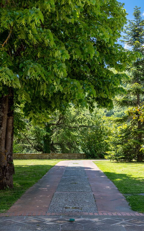 Villa Contessa: Hage, Utendørs