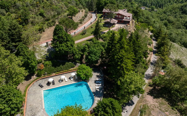 Villa Contessa: basseng