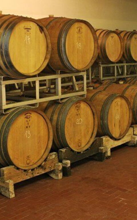 La Selva: Fasiliteter