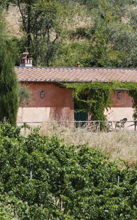 La Selva: Hage, Utendørs